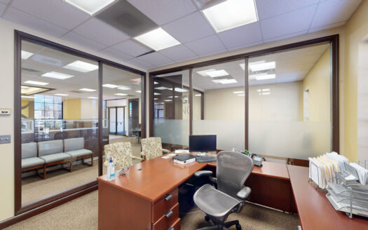 1912 Westchester (Peter Plaza VIII)